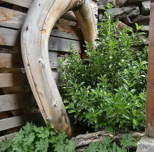 Къща за Гости Чепеларе